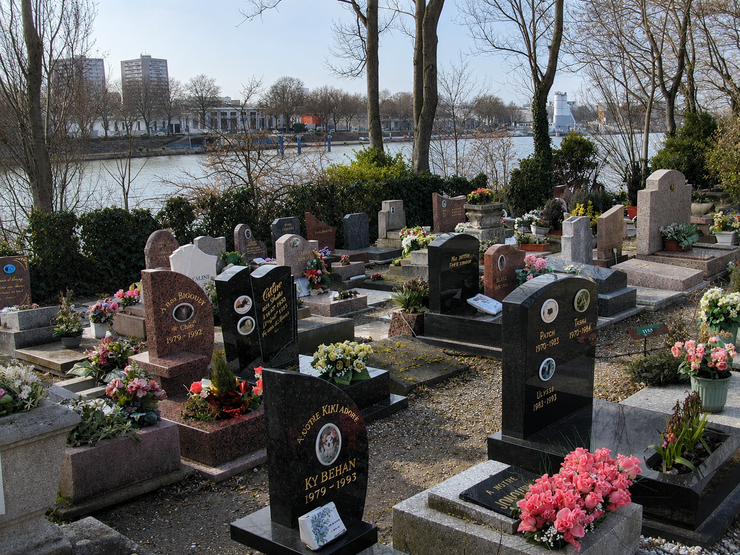 cimetiere-animaux-asnieres