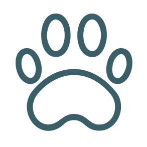 patte-chien